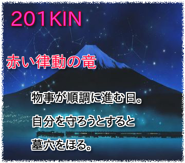 201kin