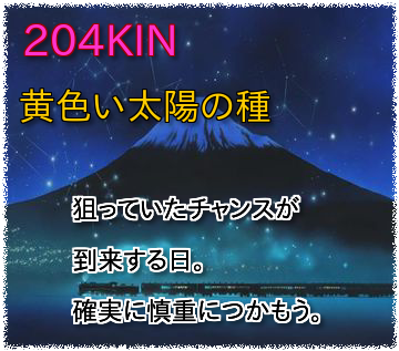 204KIN