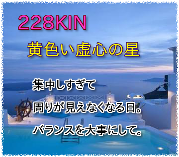 228kin