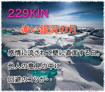 229kin