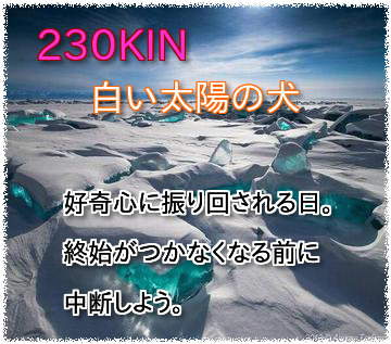 230kin